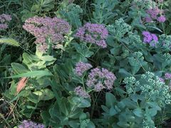 -村上一屋(望京店)