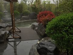 -楼观道温泉酒店