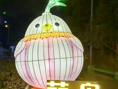 -武汉园博园(武汉自然博物馆)