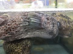 -厨房好味(国贸店)