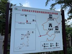-北京鹫峰国家森林公园
