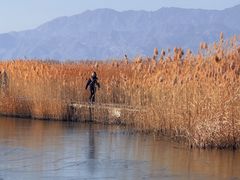 -野鸭湖国家湿地公园