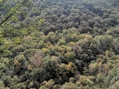 -玉渡山自然风景区