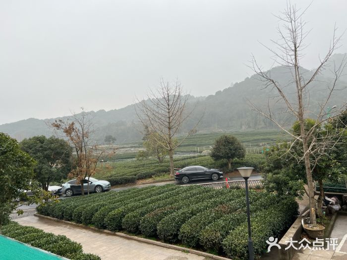听风阁农家私房菜茶楼(龙坞店)图片