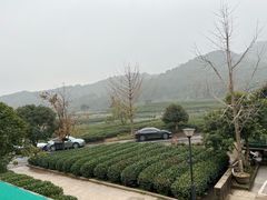 -听风阁农家私房菜茶楼(龙坞店)