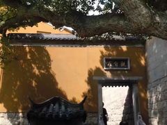 -兰剑驾校(汉阳校区)