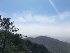 -王顺山国家森林公园