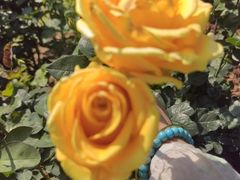 -人民公园(罗湖区)