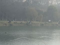 -南京医科大学第二附属医院(姜家园院区)