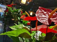 -舌尖上的食缘花园主题餐厅