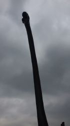 -恐龙探索乐园(磁器口店)