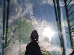 -梦幻奥陶纪景区