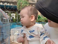 -凯德广场(学府店)