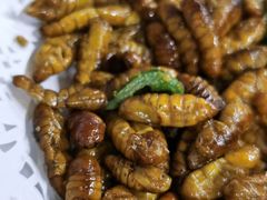 椒鹽蚕蛹-钟叔烩鸡