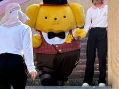 -安吉Hello Kitty乐园