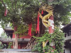 -黄龙溪古镇-古龙寺