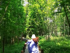 -桤木河湿地公园