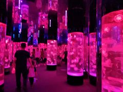 -成都浩海立方海洋公园