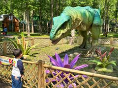 -黄海国家森林公园