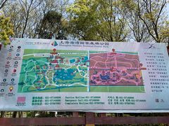 -上海海湾国家森林公园