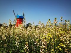 -武汉紫薇都市田园