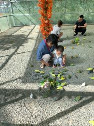 点击看大图 -萌宠亲子动物乐园(槐房万达店)