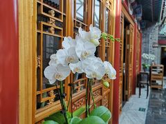 -北京古城老院厉晓麟精致菜