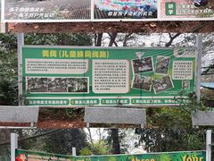 -芦仙山景区-飞越丛林探险乐园