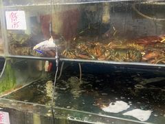 -众彩物流水产市场