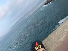 -枸杞岛