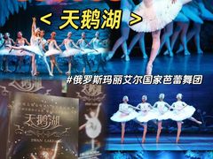 -厦门歌舞剧院