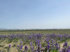 -敕勒川草原文化旅游区