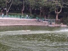 -屯门公园