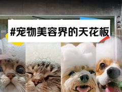 -狗不理喵子(百富路店)
