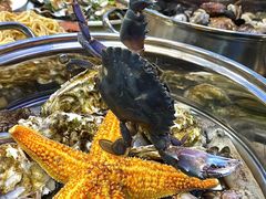 -富临港·蒸汽海鲜·手抓海鲜·炒菜(栈桥店)