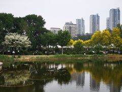 -泰丰公园
