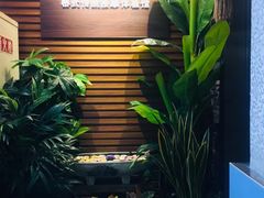 -SABAI THAI SPA泰式按摩体验馆(北城天街店)
