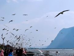 -海埂大坝