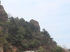 -鲁山国家森林公园