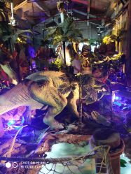 -恐龙探索乐园(磁器口店)