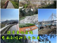 -大渡口区义渡公园