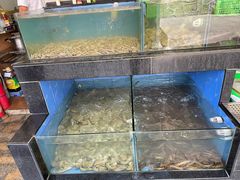 水产区-阿妹小海鲜(下角店)