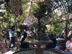 -The Grounds of Alexandria