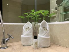 -江门逸豪酒店