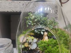 -伊势丹(现代城店)
