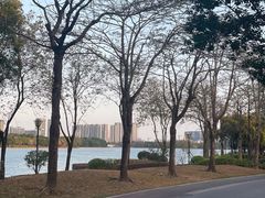 -顺峰山公园