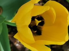 -长春公园(普阳街道)