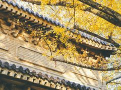 -灵谷景区