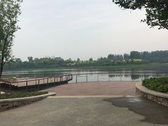 -东郊湿地公园