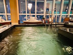 -上海柏悦酒店